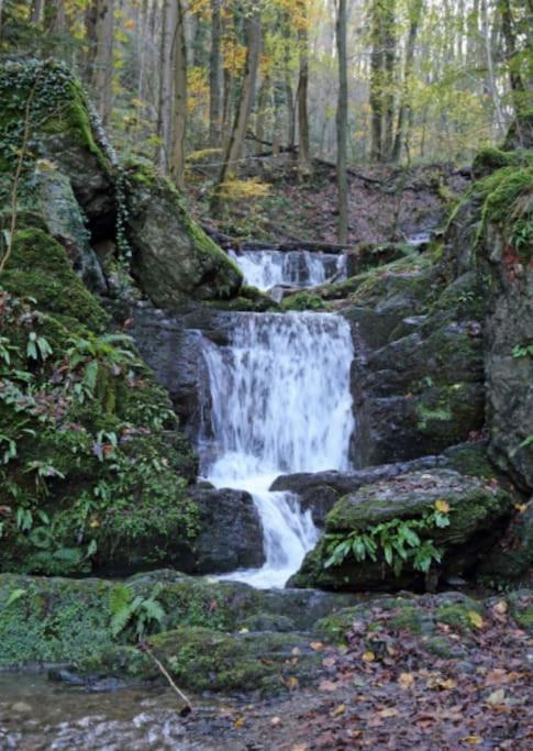 Laissez-Vous Enchanter Par La Vallee De La Meuse Hastiere-par-dela Εξωτερικό φωτογραφία