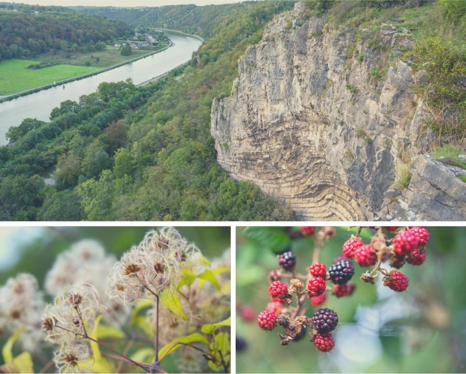 Laissez-Vous Enchanter Par La Vallee De La Meuse Hastiere-par-dela Εξωτερικό φωτογραφία